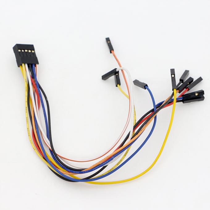 Custom Dupont weibliche zu Molex weibliche Montage Kabel Jumper Drahtgurt 5