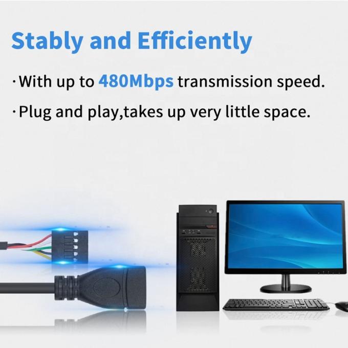 USB Typ A Weiblich bis 9 Pin Dupont Weibliche Kopfteil-Motherboard-Adapterkabel 3