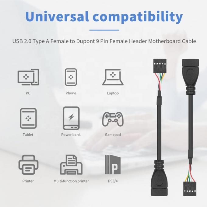 USB Typ A Weiblich bis 9 Pin Dupont Weibliche Kopfteil-Motherboard-Adapterkabel 4